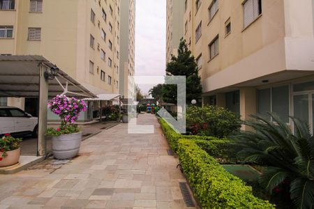 Entrada de apartamento à venda com 2 quartos, 55m² em Brás, São Paulo