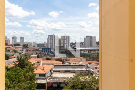 Apartamento para alugar com 75m², 3 quartos e 2 vagasVista Cozinha/Lavanderia