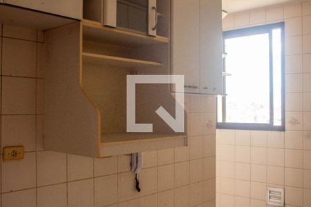 Apartamento para alugar com 75m², 3 quartos e 2 vagasCozinha Armario 1