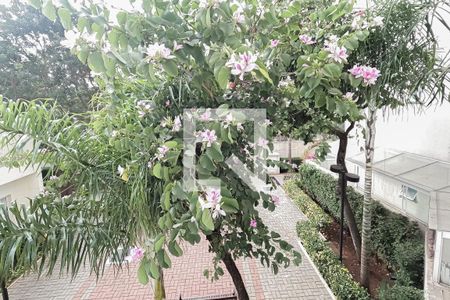 Apartamento à venda com 55m², 2 quartos e 1 vagaVista da Suíte