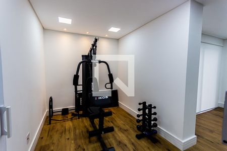 Área comum - Academia de apartamento para alugar com 2 quartos, 66m² em Campestre, Santo André