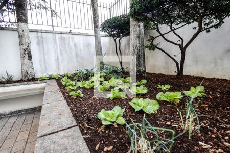 Apartamento para alugar com 84m², 3 quartos e 1 vaga Apartamento para alugar com 84m², 3 quartos e 1 vagaÁrea comum