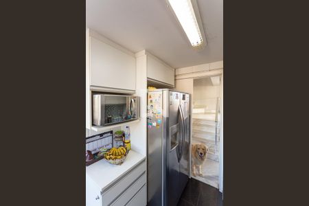 Apartamento à venda com 265m², 4 quartos e 4 vagasCozinha