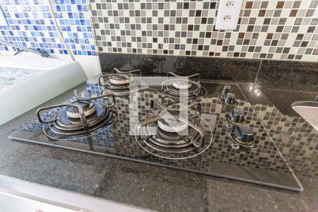 Apartamento para alugar com 48m², 2 quartos e 1 vaga Apartamento para alugar com 48m², 2 quartos e 1 vagadetalhe da cozinha