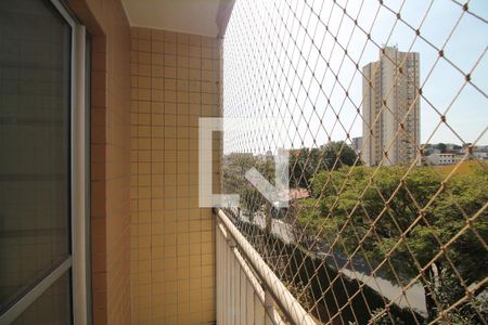 Sacada de apartamento para alugar com 3 quartos, 61m² em Cidade Patriarca, São Paulo