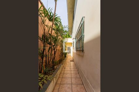 Casa para alugar com 146m², 2 quartos e 2 vagas Casa para alugar com 146m², 2 quartos e 2 vagasCorredor Externo