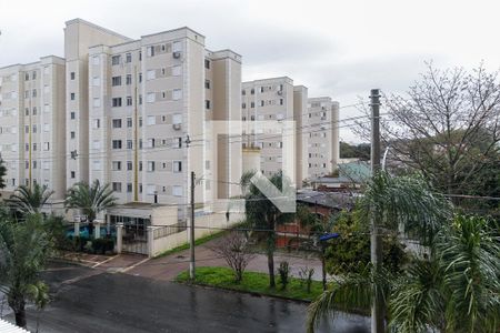 Vista da sacada da sala de apartamento para alugar com 2 quartos, 48m² em Morro Santana, Porto Alegre