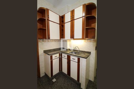 Cozinha de apartamento para alugar com 1 quarto, 50m² em Andaraí, Rio de Janeiro