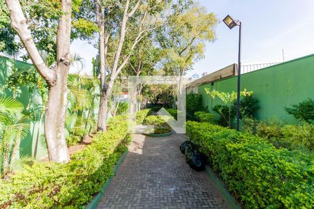 Apartamento à venda com 90m², 3 quartos e 2 vagasBosque