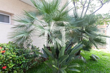 Apartamento à venda com 85m², 4 quartos e 1 vagaÁrea comum