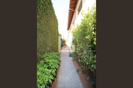 Casa à venda com 360m², 3 quartos e 3 vagasCorredor externo