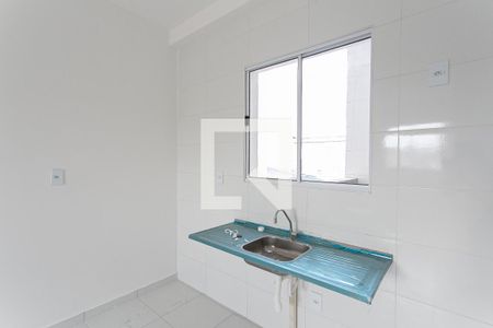 Cozinha - Pia de apartamento para alugar com 2 quartos, 43m² em Vila Ré, São Paulo
