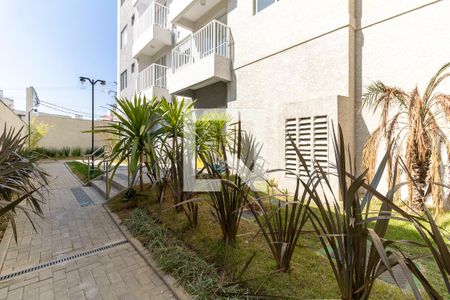 Área Comum  de apartamento para alugar com 2 quartos, 48m² em Jardim Santa Cruz (sacomã), São Paulo