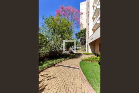 Apartamento à venda com 79m², 2 quartos e 1 vagaÁrea Comum