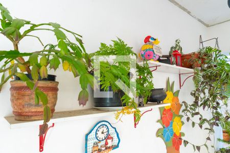 Casa à venda com 230m², 4 quartos e 3 vagasÁrea Externa Detalhe