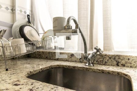 Apartamento à venda com 50m², 2 quartos e sem vagaCozinha - Torneira