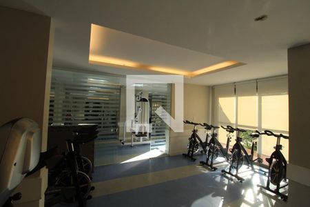 Apartamento para alugar com 240m², 2 quartos e 2 vagasÁrea Comum - Academia