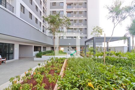 Área comum de apartamento para alugar com 2 quartos, 45m² em Itaberaba, São Paulo