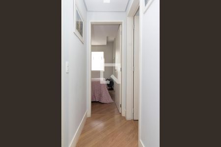 Corredor de apartamento para alugar com 2 quartos, 60m² em Perdizes, São Paulo