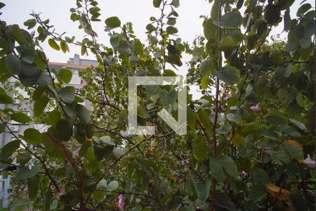 Sala_Vista de apartamento à venda com 3 quartos, 94m² em Jardim Itu, Porto Alegre