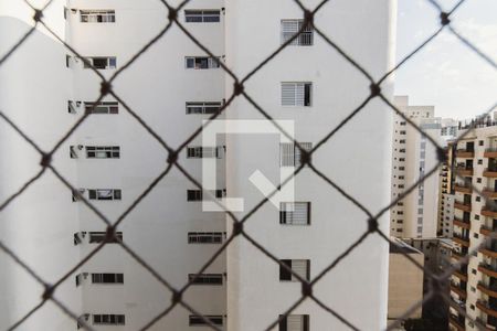 Lavanderia Vista de apartamento para alugar com 5 quartos, 267m² em Perdizes, São Paulo