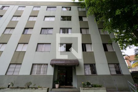 Fachada do bloco de apartamento para alugar com 2 quartos, 56m² em Vila Amélia, São Paulo