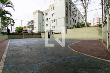 Área comum - Quadra esportiva de apartamento para alugar com 2 quartos, 56m² em Vila Amélia, São Paulo