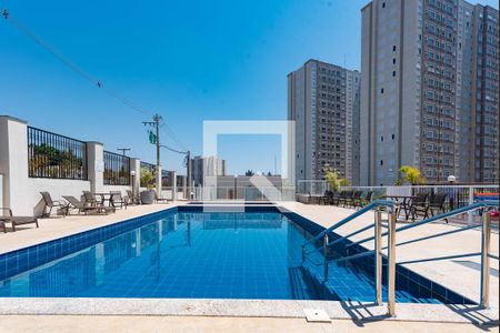 Área comum - Piscina de apartamento à venda com 2 quartos, 43m² em Fundacao da Casa Popular, Campinas
