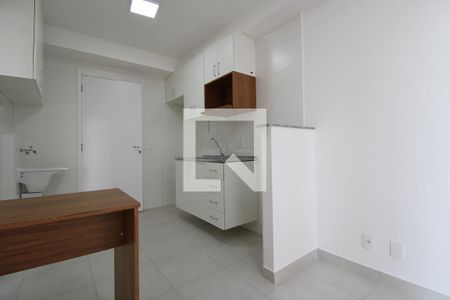 Sala/Cozinha de apartamento para alugar com 1 quarto, 28m² em Jardim Caravelas, São Paulo