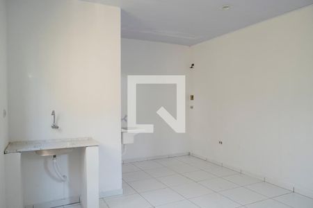Studio de kitnet/studio para alugar com 1 quarto, 30m² em Mandaqui, São Paulo