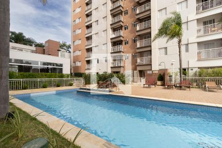 Apartamento para alugar com 61m², 3 quartos e 1 vagaÁrea comum - Piscina