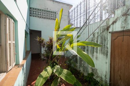 Casa à venda com 440m², 3 quartos e 1 vagaQuintal