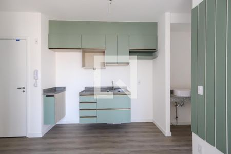 Apartamento para alugar com 35m², 2 quartos e sem vagaCozinha