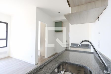 Apartamento para alugar com 35m², 2 quartos e sem vagaCozinha