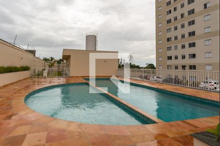 Área comum - Piscina de apartamento para alugar com 3 quartos, 58m² em Jardim do Lago Continuação, Campinas