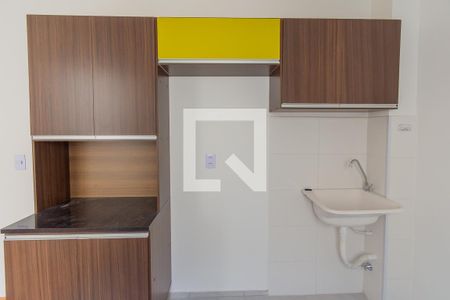 Apartamento para alugar com 46m², 2 quartos e 1 vaga Apartamento para alugar com 46m², 2 quartos e 1 vagaCozinha - Armários