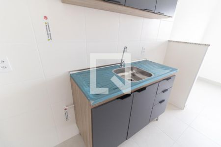 Cozinha de apartamento para alugar com 2 quartos, 33m² em Sacomã, São Paulo