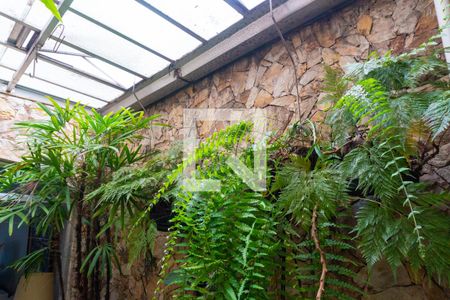 Casa à venda com 320m², 3 quartos e 3 vagas Casa à venda com 320m², 3 quartos e 3 vagasQuintal