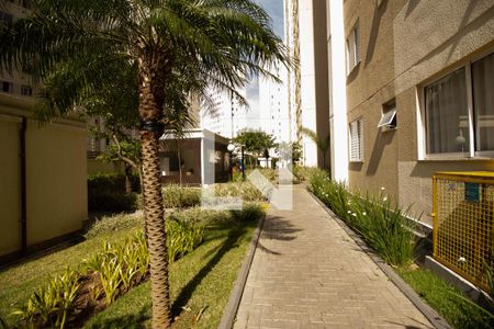Área comum de apartamento para alugar com 1 quarto, 37m² em Jardim Iris, São Paulo