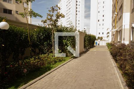 Área comum de apartamento para alugar com 1 quarto, 37m² em Jardim Iris, São Paulo