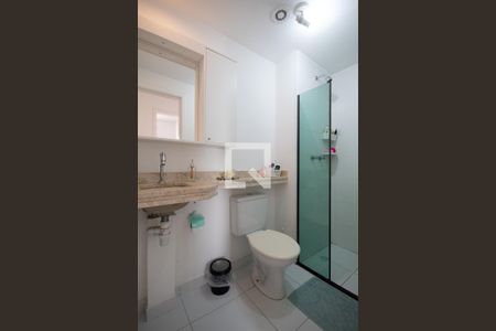 Banheiro de apartamento para alugar com 2 quartos, 49m² em Santa Maria, Osasco