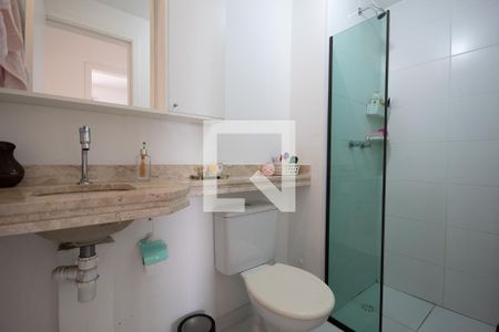 Banheiro de apartamento para alugar com 2 quartos, 49m² em Santa Maria, Osasco