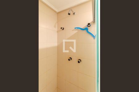 Apartamento para alugar com 305m², 4 quartos e 4 vagasChuveiro