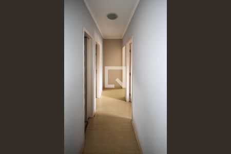 Corredor de apartamento à venda com 3 quartos, 80m² em Jardim Vila Formosa, São Paulo