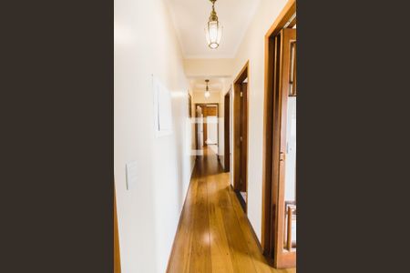 Corredor de apartamento para alugar com 3 quartos, 84m² em Perdizes, São Paulo