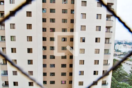 Apartamento para alugar com 110m², 3 quartos e 2 vagas Apartamento para alugar com 110m², 3 quartos e 2 vagasVista do Quarto 2