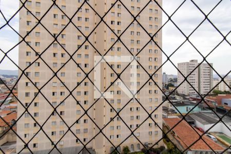 Apartamento à venda com 78m², 3 quartos e 1 vaga Apartamento à venda com 78m², 3 quartos e 1 vagaVista do Quarto 2