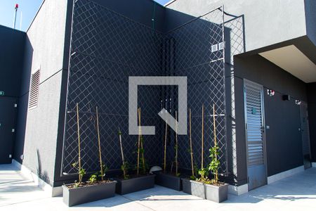 Studio para alugar com 26m², 1 quarto e sem vagaÁrea Comum