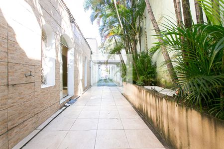 Casa à venda com 75m², 4 quartos e 3 vagas Casa à venda com 75m², 4 quartos e 3 vagasQuintal