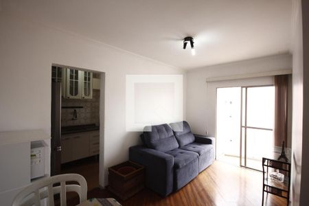 Sala de apartamento para alugar com 1 quarto, 43m² em Cambuci, São Paulo
